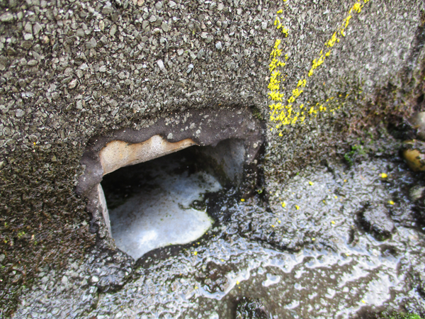 Nieuwsbouw inspectie 